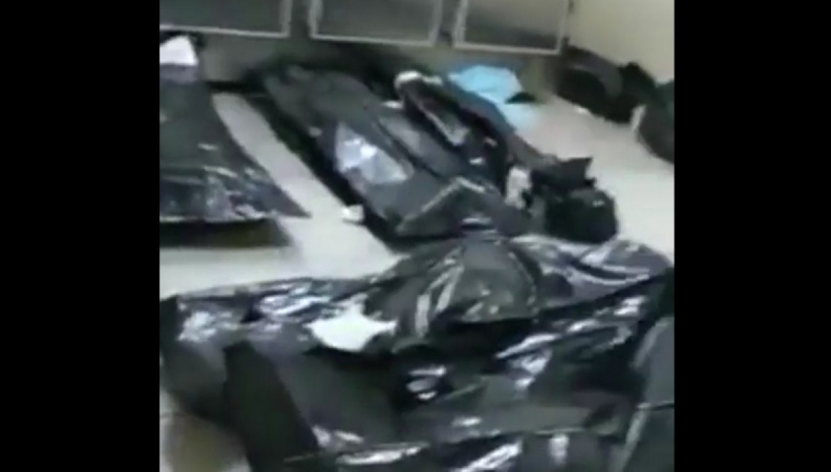 кадр из видео