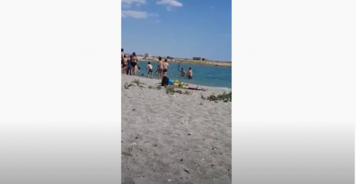 скриншот из видео