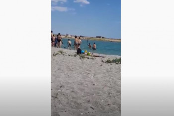 Фотография к новости: Забивавших тюленя палками и камнями ищет полиция в Мангистауской области