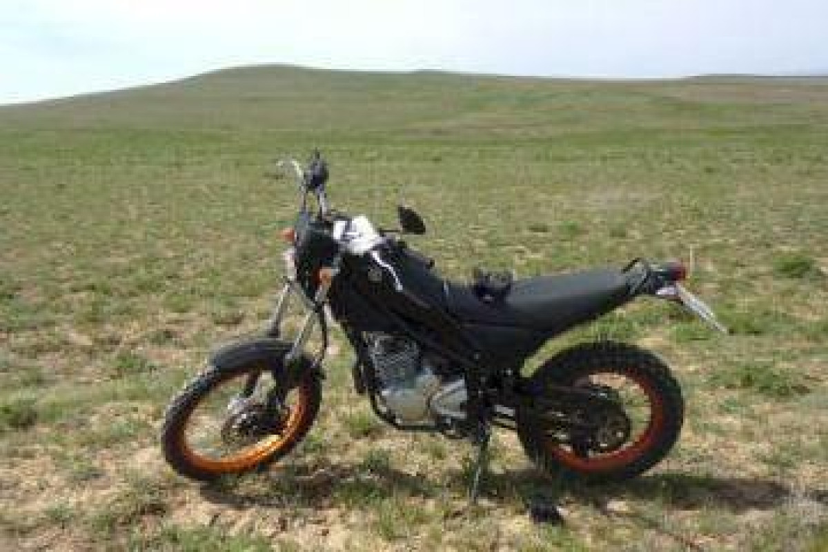 иллюстративное