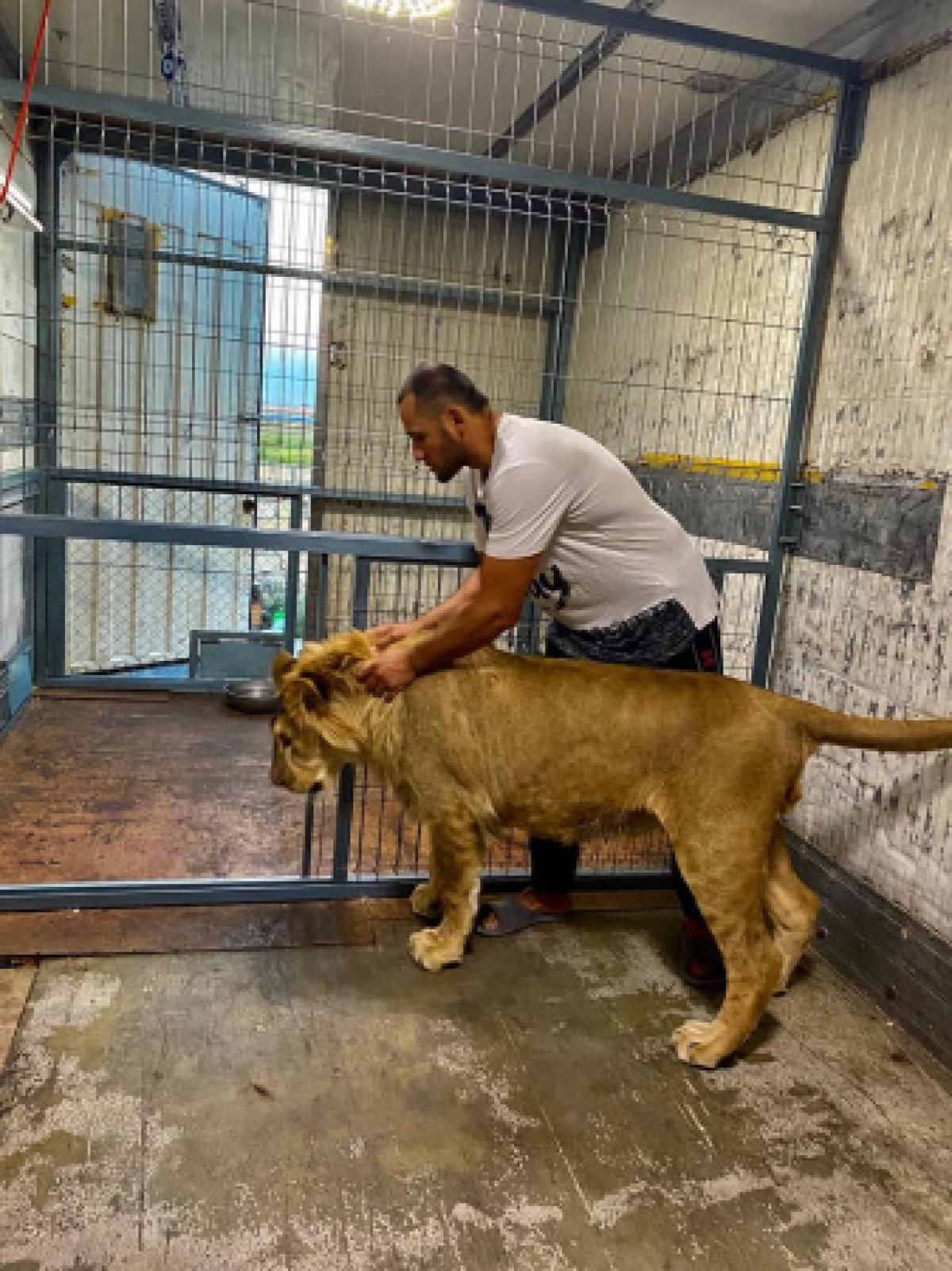 facebook.com/kirill.ossin