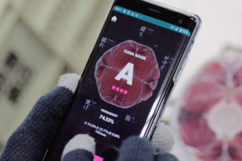 Фотография к новости: Японский искусственный интеллект научился оценивать качество рыбы