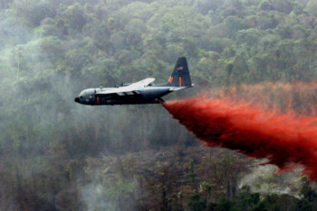 Фотография к новости: Фейк о распылении неизвестного вещества с самолета опровергли в МИОР РК