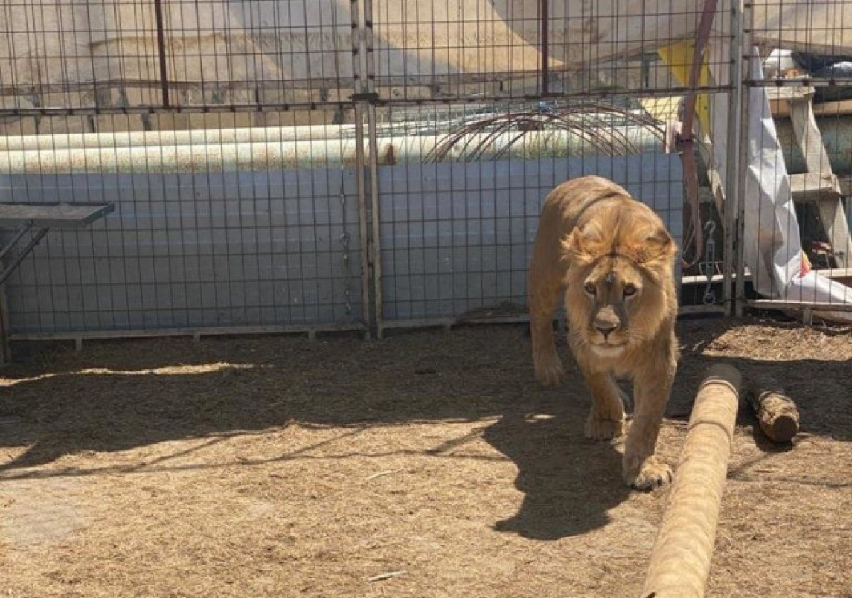 Мария Юсупова