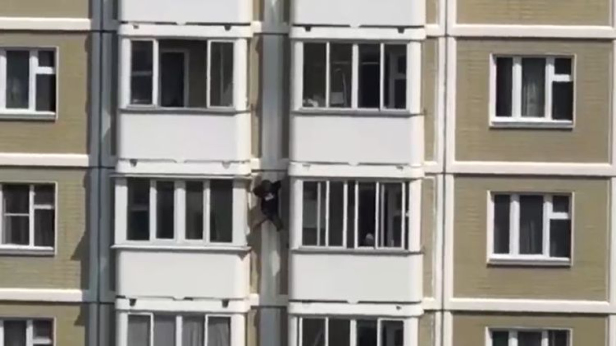 кадр из видео