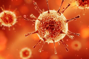 Фотография к новости: Глава ВОЗ рассказал о четырех сценариях распространения COVID-19 в мире