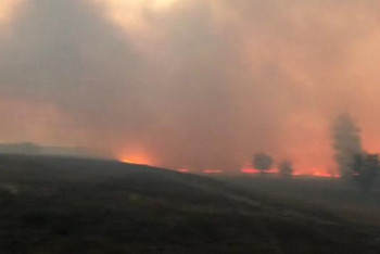 Фотография к новости: Лесной пожар перекинулся на сельские дома в ЗКО