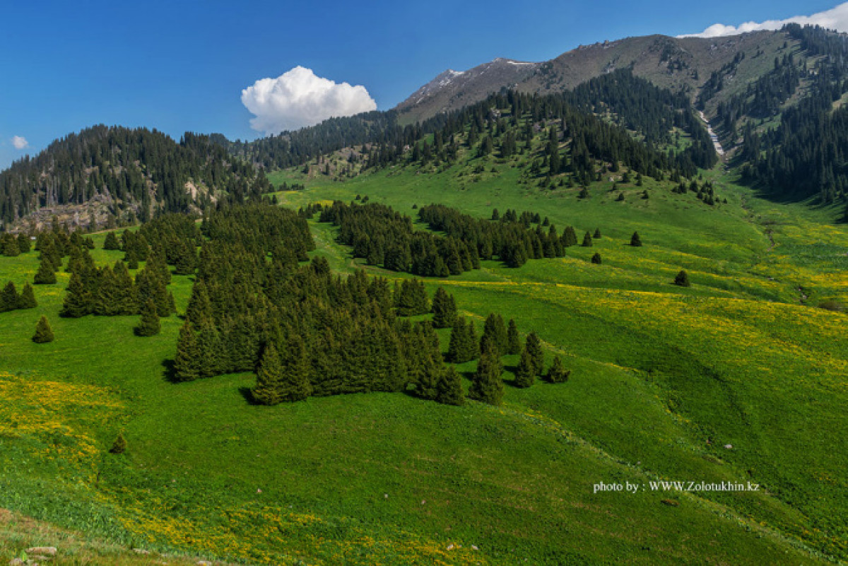 Максима Золотухина