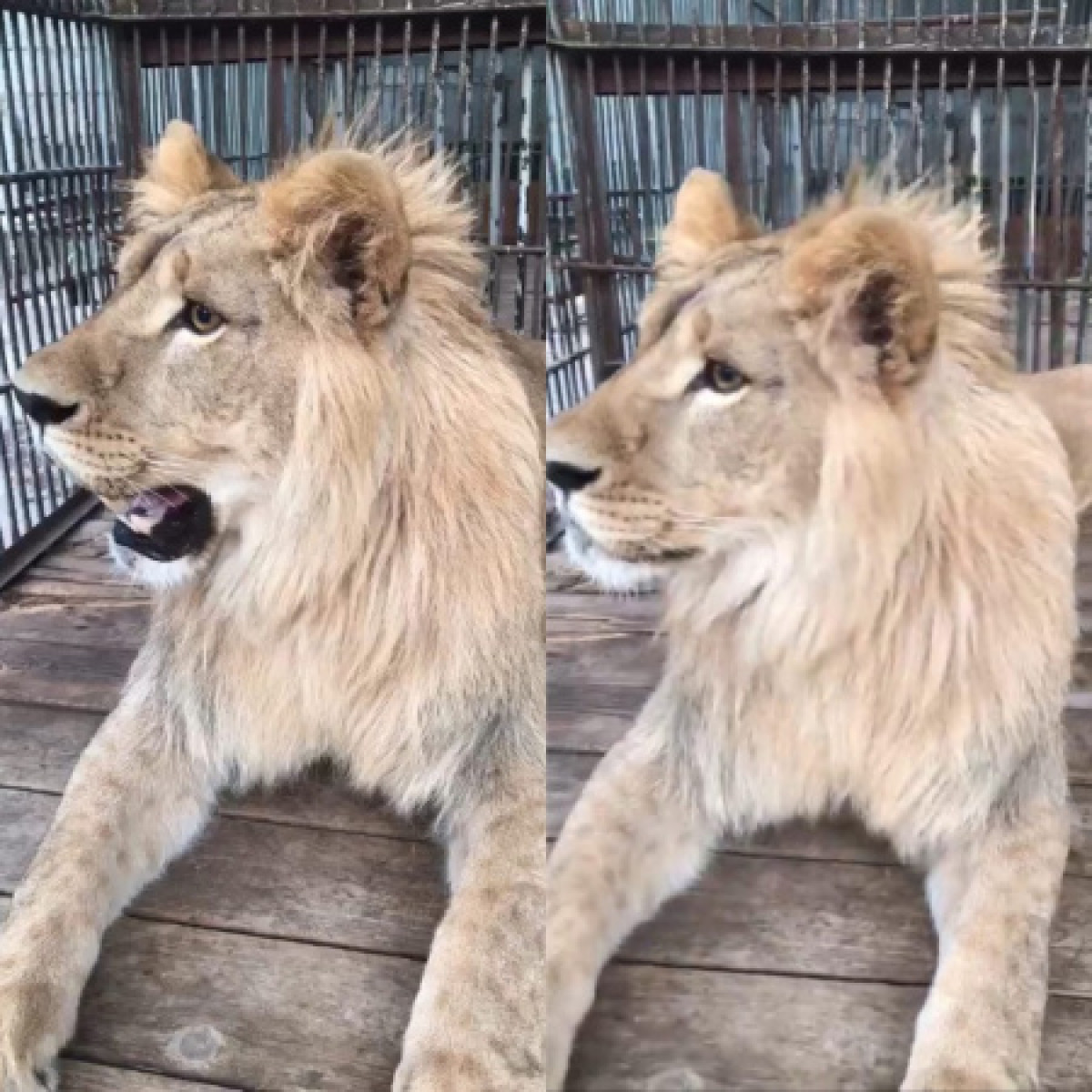 кадр из видео