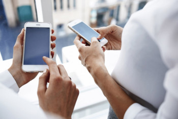 Фотография к новости: Как проверить статус проактивного назначения 42 500, пояснили в Минтруда