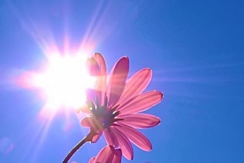 Фотография к новости: Сильная жара сохранится на большей части Казахстана 19 июля