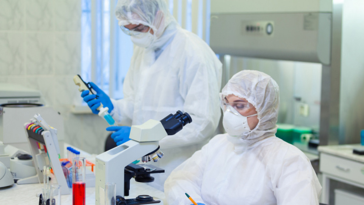 из открытых источников