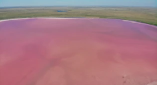 Розовое озеро Кобейтуз вычеркнули из конкурсного списка на передачу в частные руки