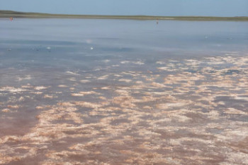 Фотография к новости: Что имеем не храним: как казахстанцы уничтожают свою природу