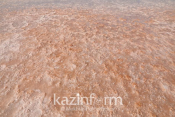 Фотография к новости: "Загадили" - как Минэкологии будет спасать озеро Кобейтуз