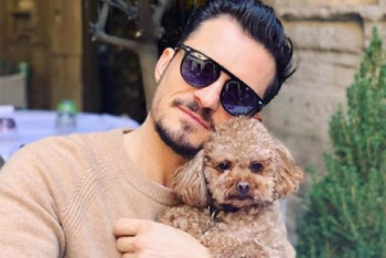 Фотография к новости: Орландо Блум сделал татуировку в память о потерянной собаке