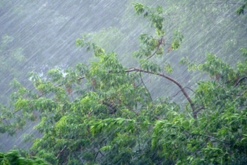 Фотография к новости: Дожди с грозами и шквалистый ветер ожидаются в Казахстане 23 июля