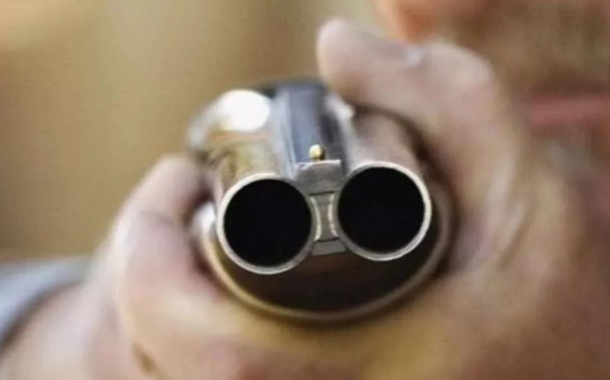 иллюстративное