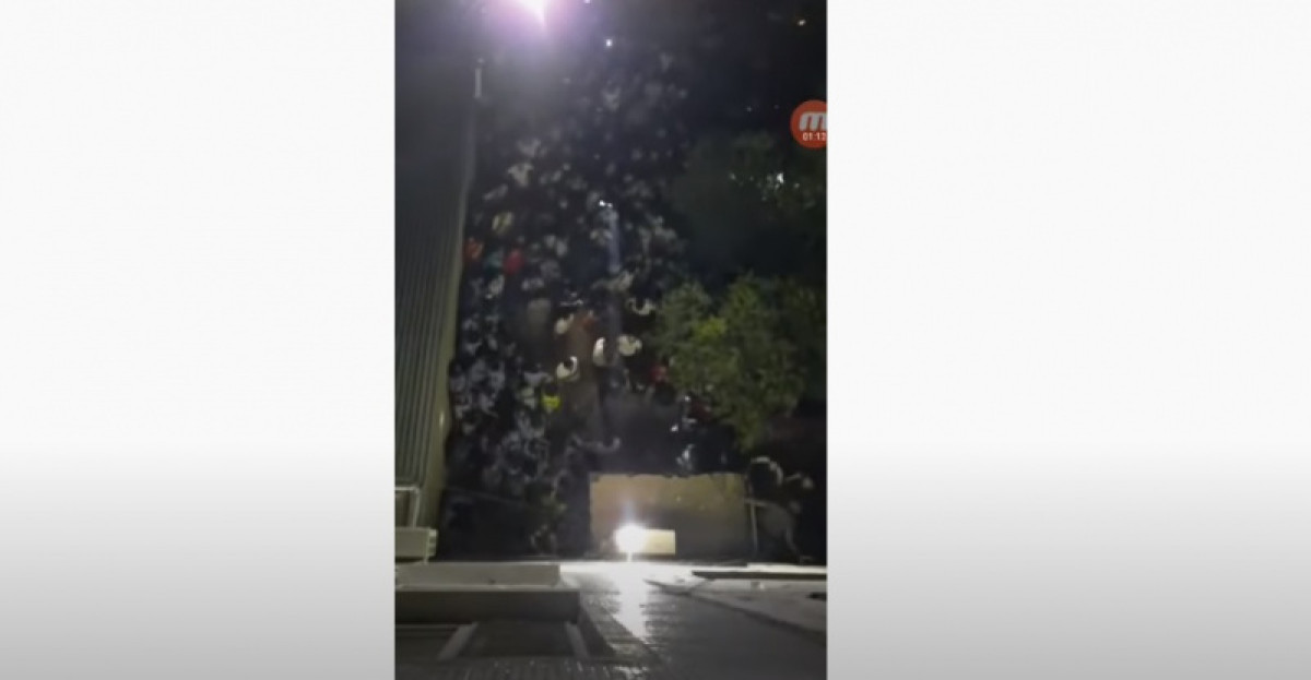 кадр из видео