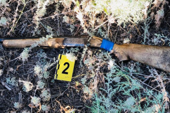 Фотография к новости: Браконьера с тушей сайги задержали в Костанайской области