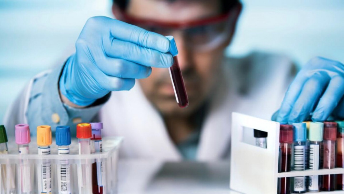 иллюстративное