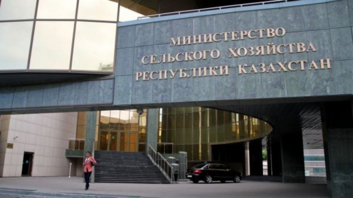 Увольнением и выговорами закончилось подведение итогов работы Комитета ветконтроля