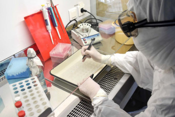 Фотография к новости: Почти полторы тысячи новых заболевших КВИ выявили за сутки в Казахстане