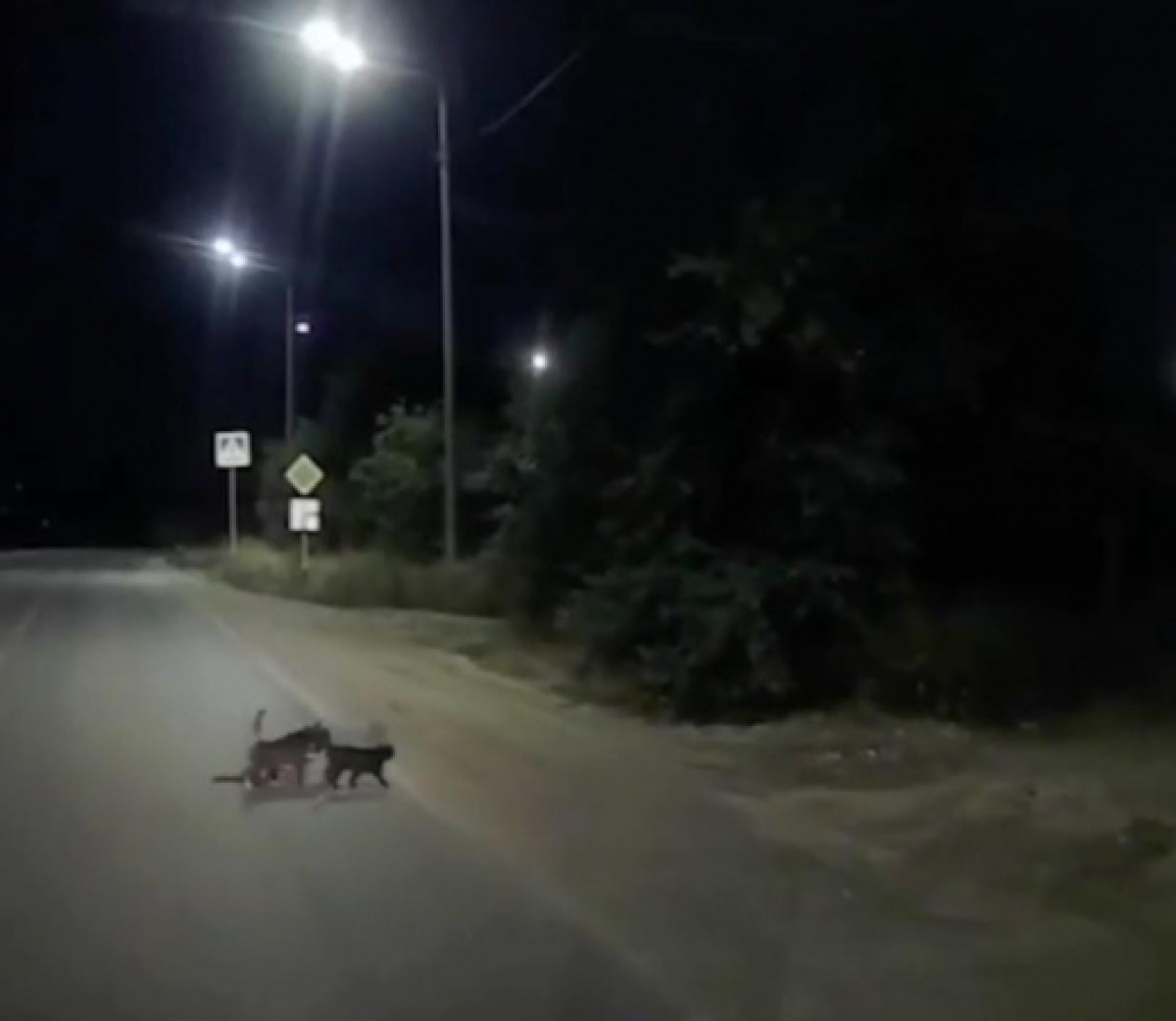 кадр из видео