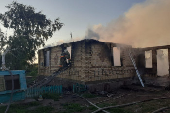 Фотография к новости: Трое детей погибли в результате пожара в Акмолинской области