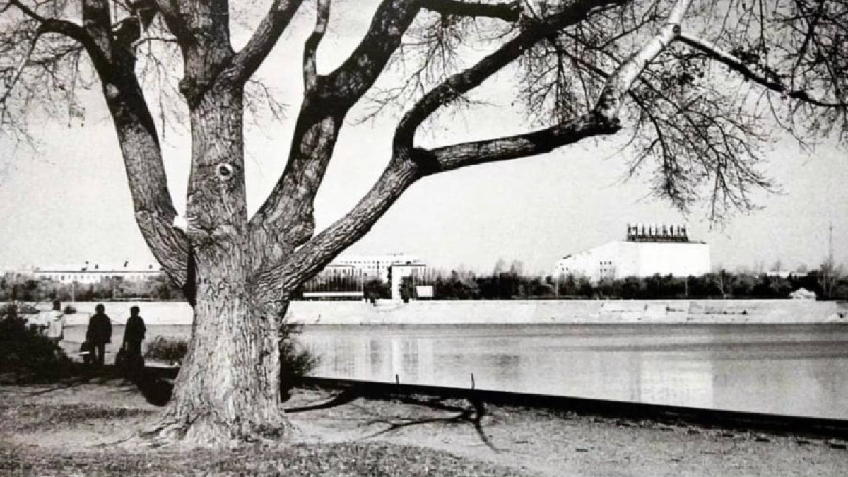 instagram.com/vetvi.pamyati