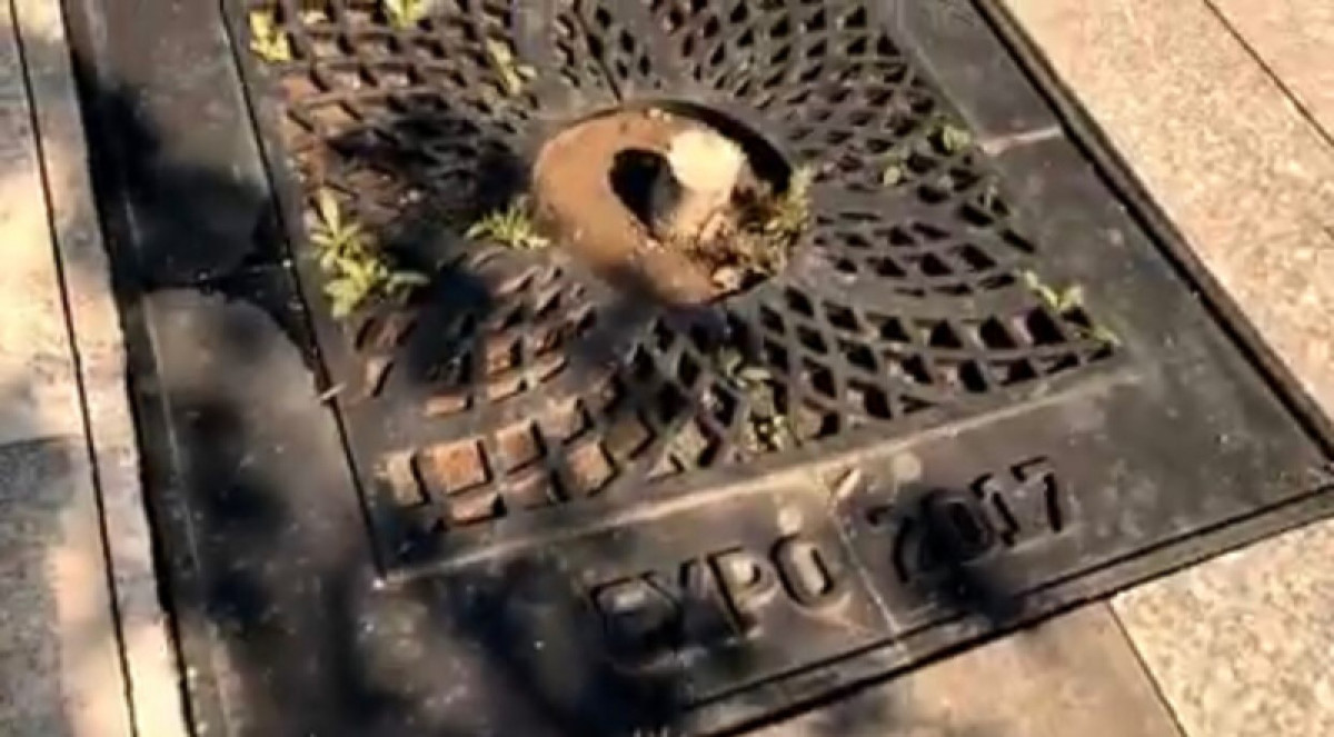 кадр из видео