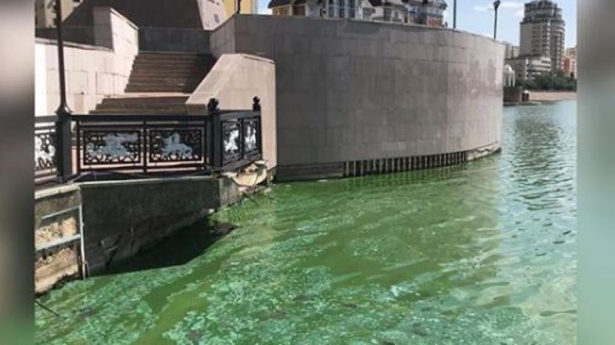 кадр из видео