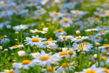 Фотография к новости: Какая погода ожидает казахстанцев 6 августа