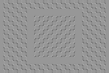 Фотография к новости: Новая оптическая иллюзия озадачила пользователей соцсетей