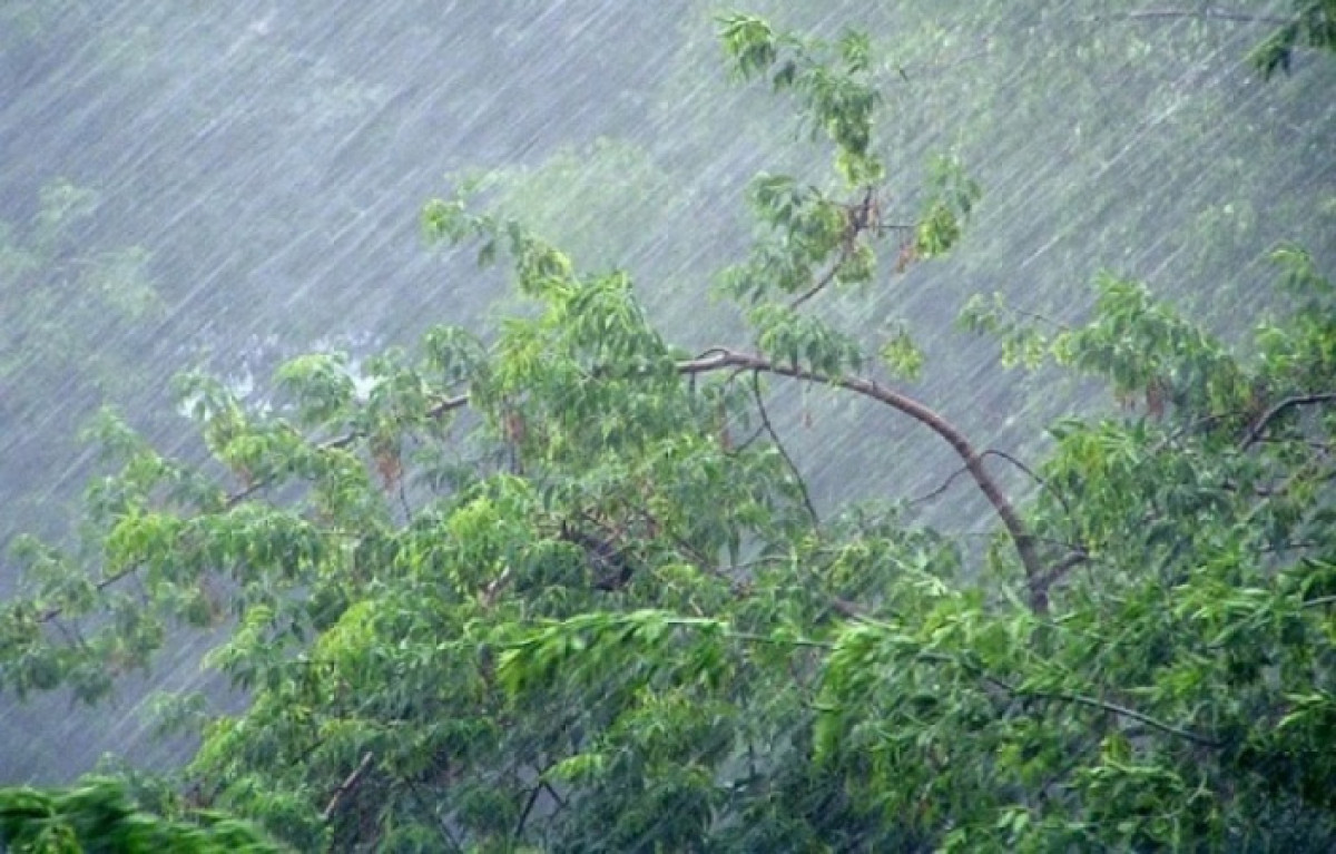 иллюстративное