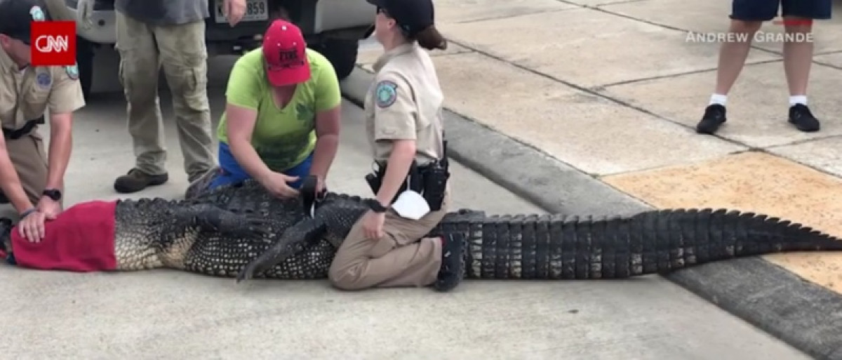 кадр из видео