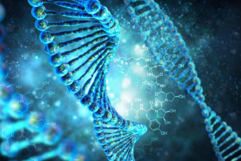 Фотография к новости: Следы неизвестных предков обнаружены в геноме человека