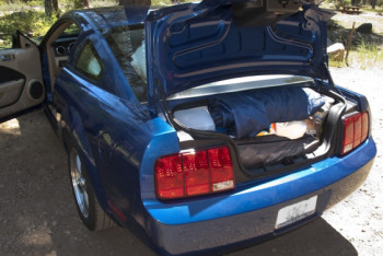 Фотография к новости: Мужчина похитил "невесту" близ Сарани, но не довез ее до ЗАГСа