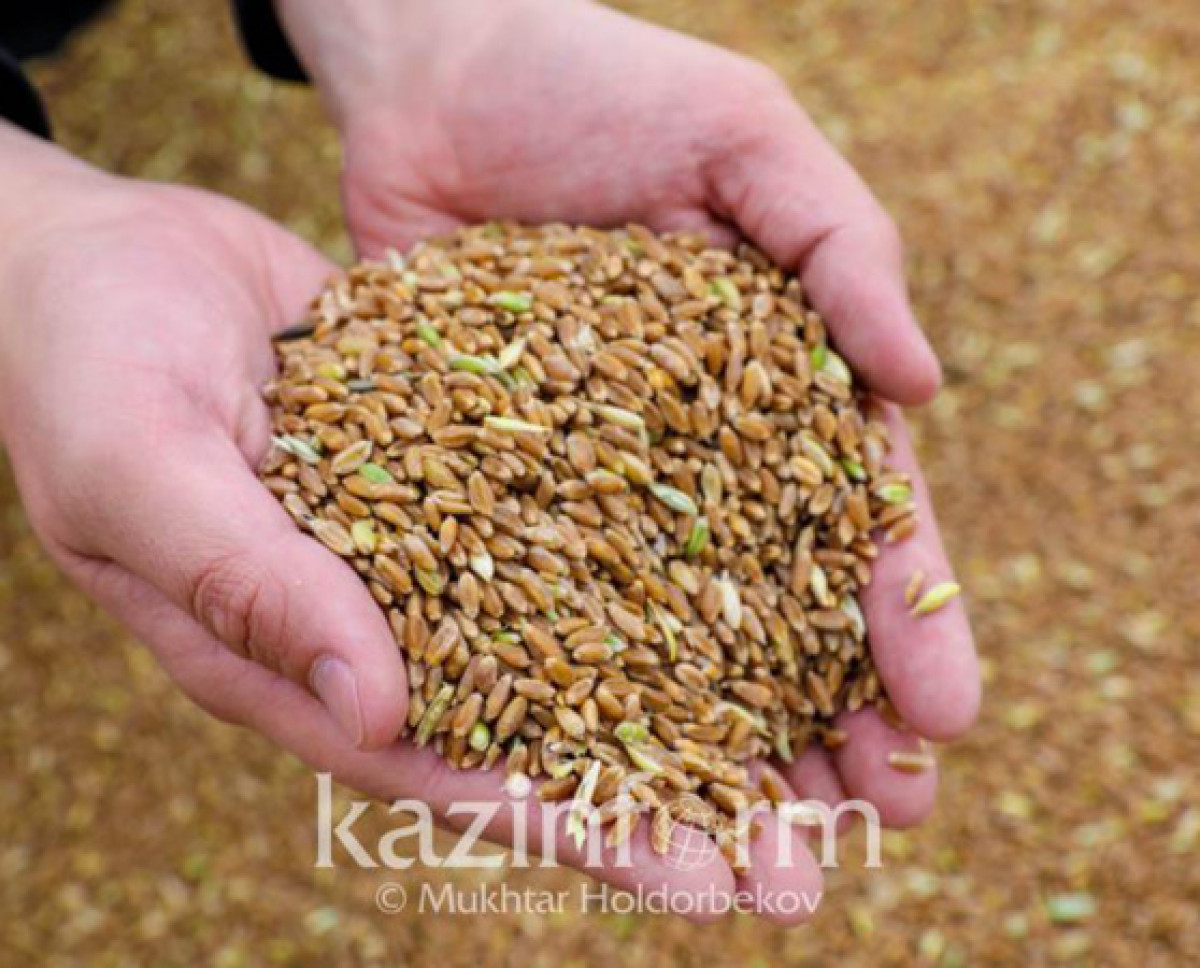 Иллюстративное, архивное - КазИнформ