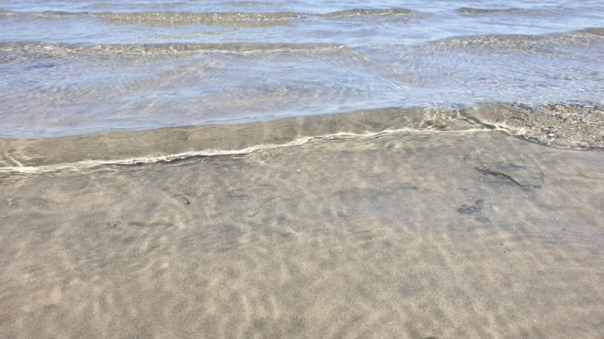 На грани исчезновения оказалось популярное озеро в Кызылординской области