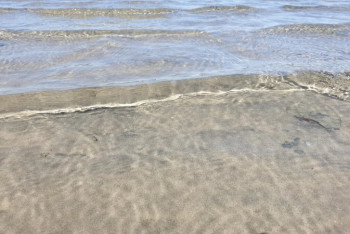 Фотография к новости: На грани исчезновения оказалось популярное озеро в Кызылординской области