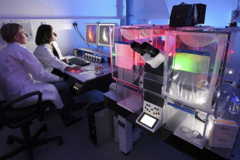 Фотография к новости: Найден необычный продукт для борьбы с раком