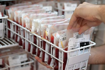 Фотография к новости: Доноров иммунной плазмы с антителами к КВИ не хватает в Казахстане