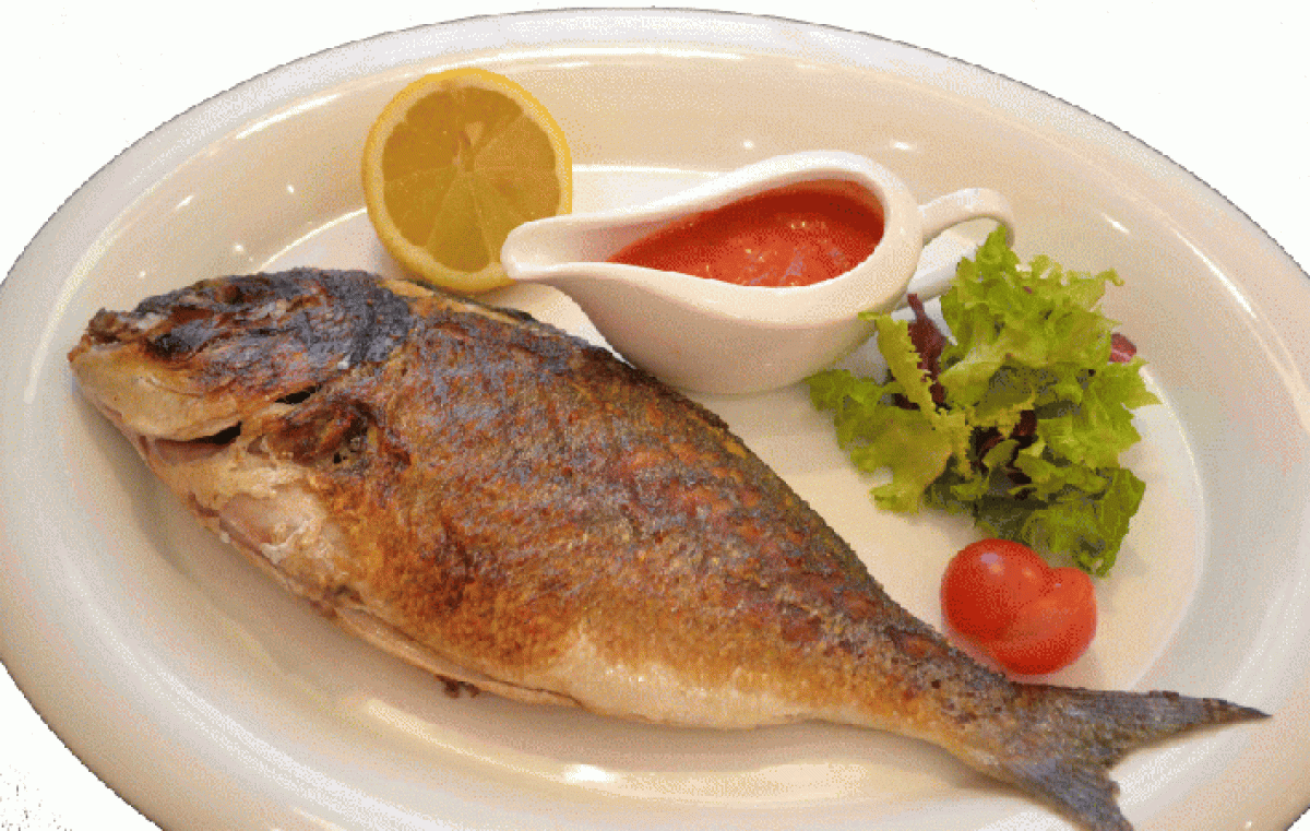 astana.zagranitsa.com