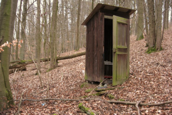 Фотография к новости: Стыдно перед детьми – Сапарбаев раскритиковал подчиненных из-за школьных туалетов