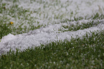 Фотография к новости: На севере и в центре Казахстана ожидается град
