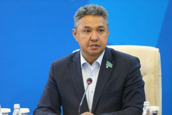 Фотография к новости: Разрешение на возобновление деятельности бизнеса: депутаты не согласны с требованием МЗ РК