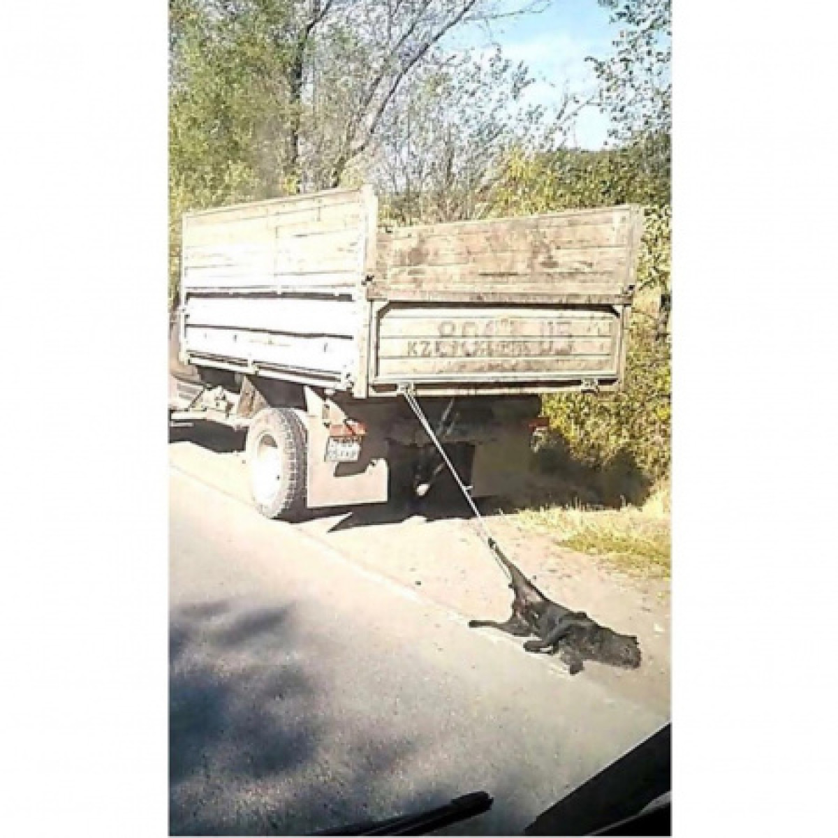 Instagram\@kris_p_issyk