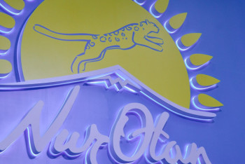 Фотография к новости: Заседание политбюро партии Nur Otan перенесли