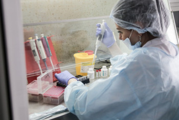 Фотография к новости: 242 новых случая КВИ выявили за сутки в Казахстане